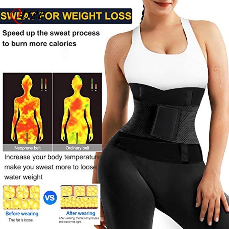 Qtree ホットネオプレンウエストトレーナーベルト女性サウ - Sweat Waist Trainer Belt Neoprene のレビューと価格